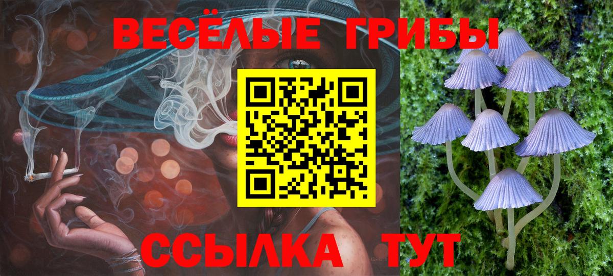Галлюциногенные грибы GOLDEN TEACHER Тулун