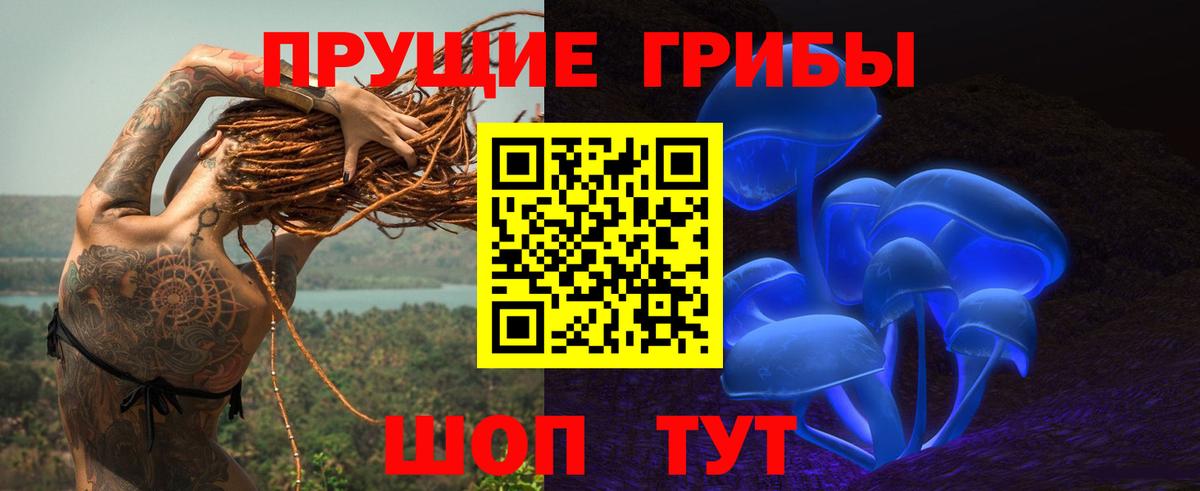 Тулун  Псилоцибиновые грибы GOLDEN TEACHER  Вход с VPN 